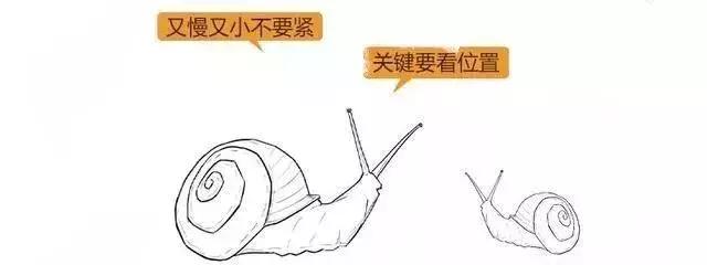 漫画详解子宫肌瘤是个啥？