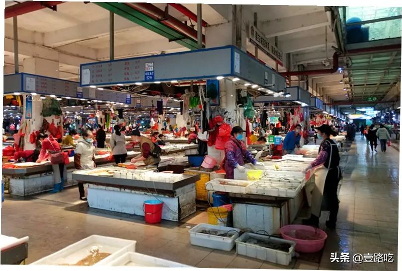 每天都有你想吃的海鲜美食,海鲜美食等你来品尝