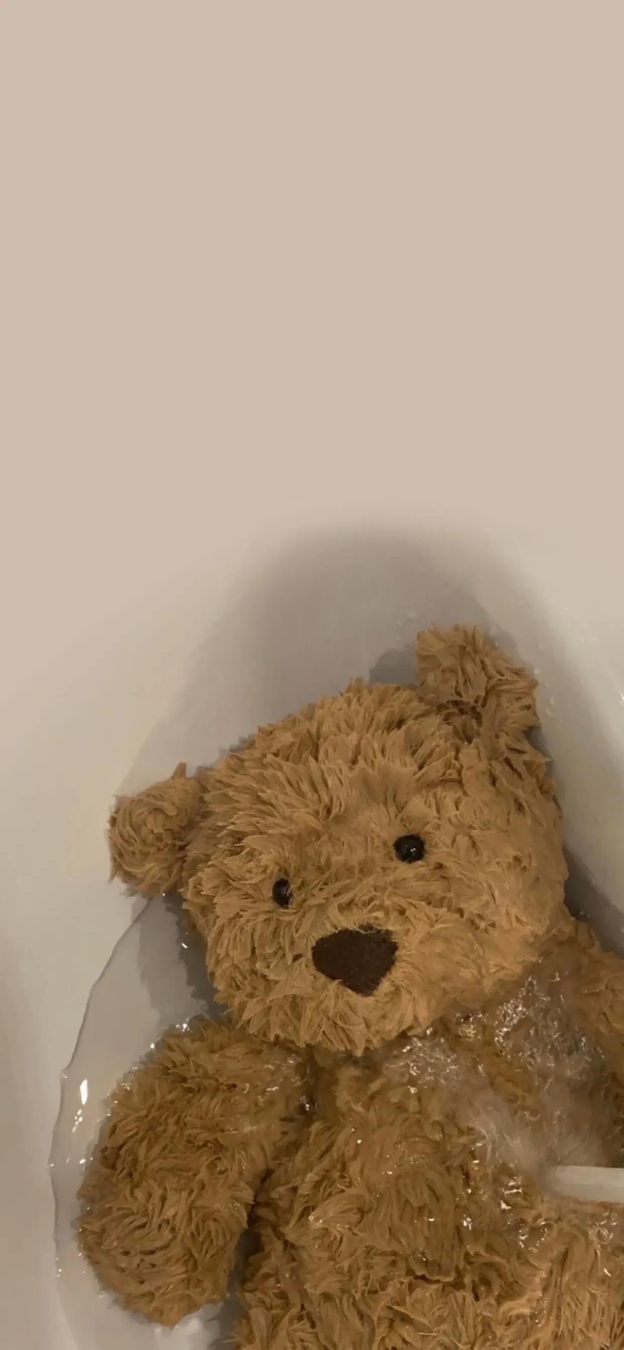 巴塞罗那熊4k壁纸,巴塞罗那熊高清手机壁纸