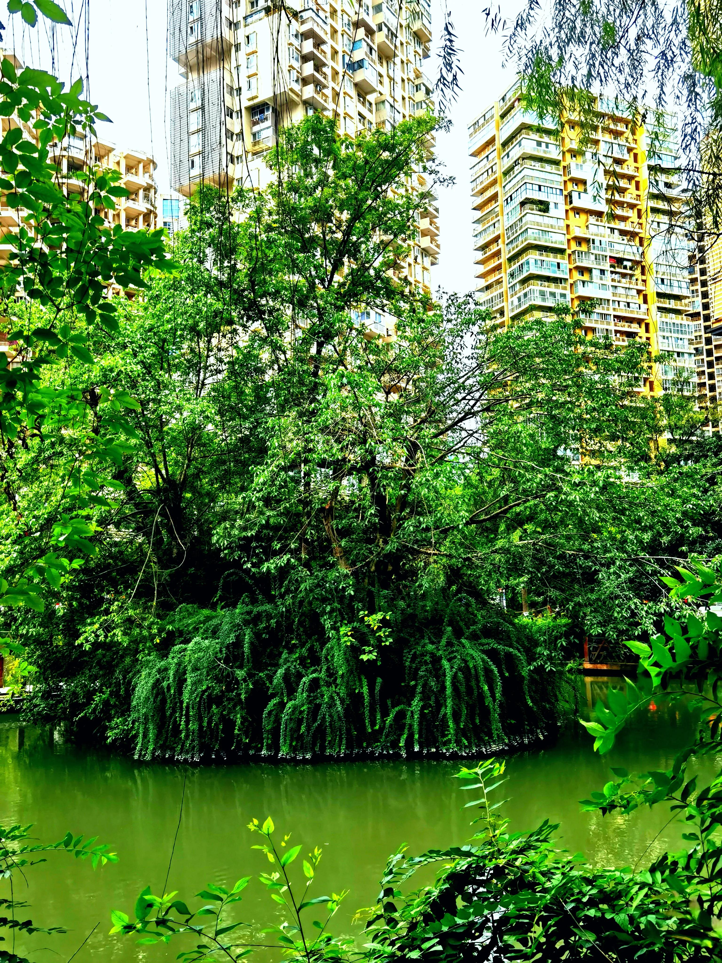 世纪城天鹅湖花园,世纪城天鹅湖别墅公寓