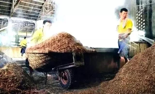 高粱全世界都有吗,高粱为何如今在中国很少见了