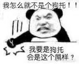 天刀删号事件后续斗鱼主播,天刀大佬删号后续