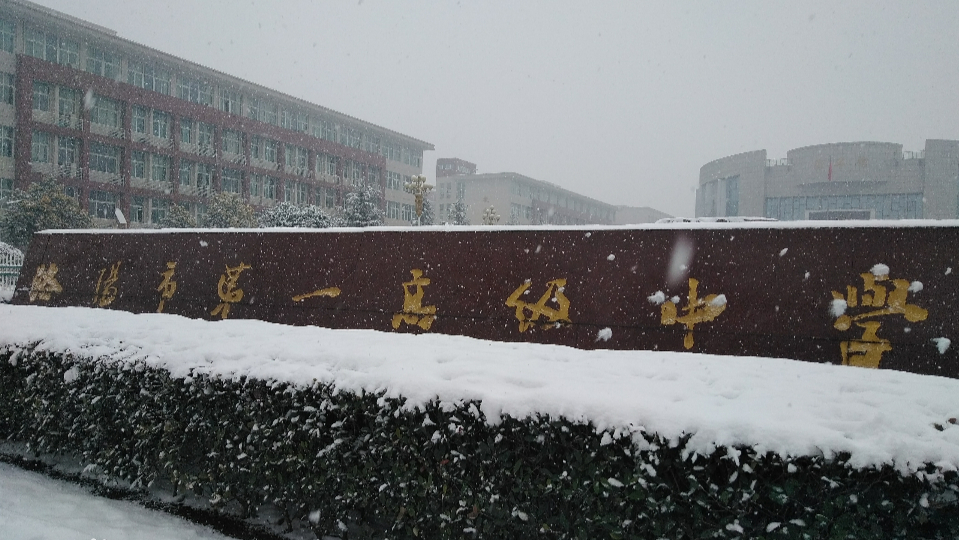 洛阳市内一高排名,河南洛阳一高在全省排名第几