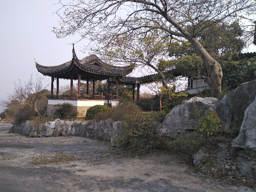 怎样扩展自己的视野,拓展自己的眼界