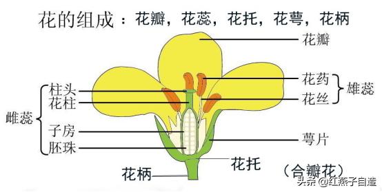 实用手工diy制作钩针花,diy手工花钩织