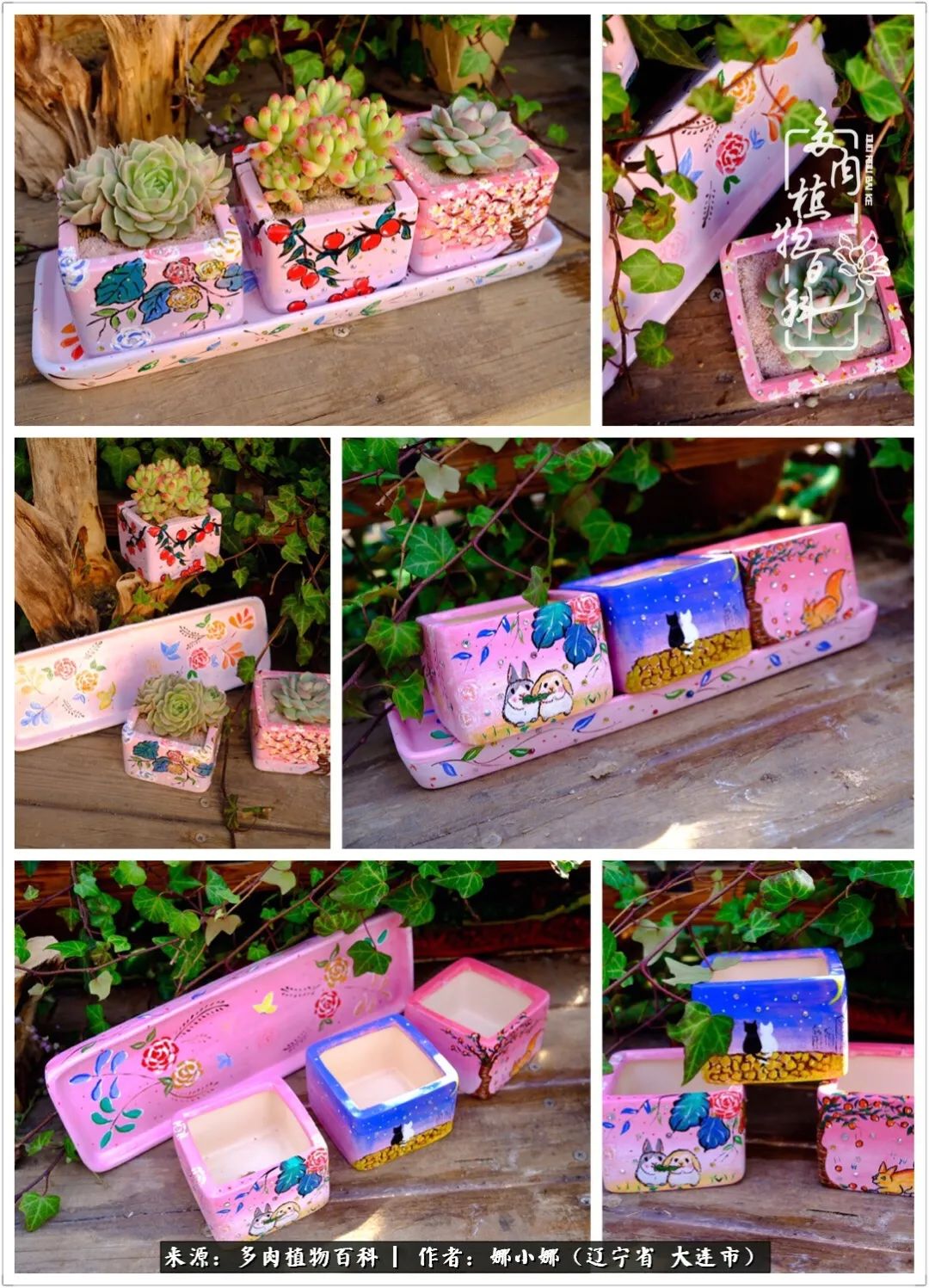 你是盆我是花，你护我周全，我为你绽放