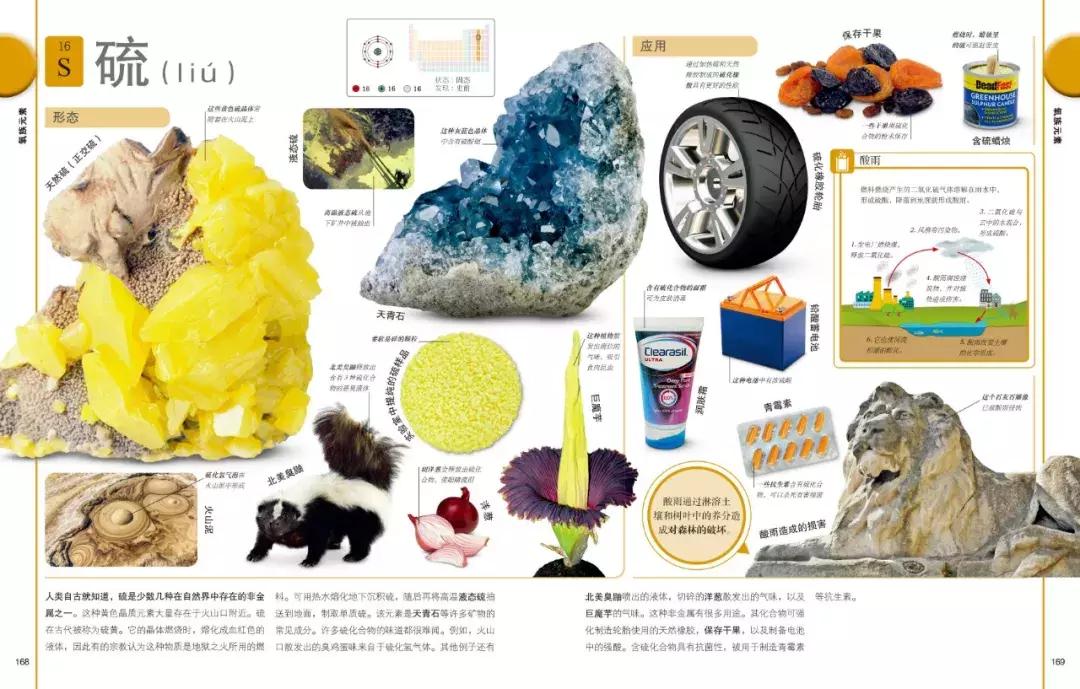 儿童dk哪些书籍值得买,dk儿童书籍推荐