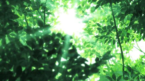 耳朵里面有蚊子嗡嗡响怎么解决,晚上睡觉蚊子嗡嗡响一招解决