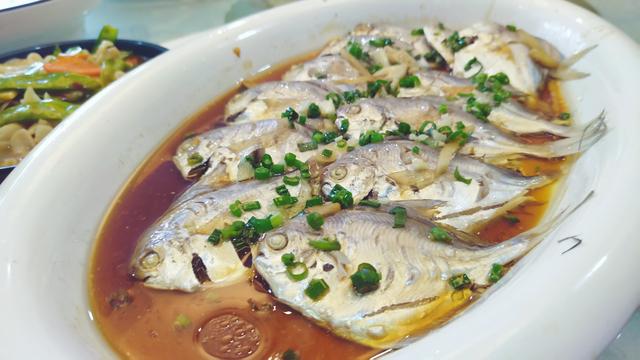 福鼎旅游数据,福鼎纪录片