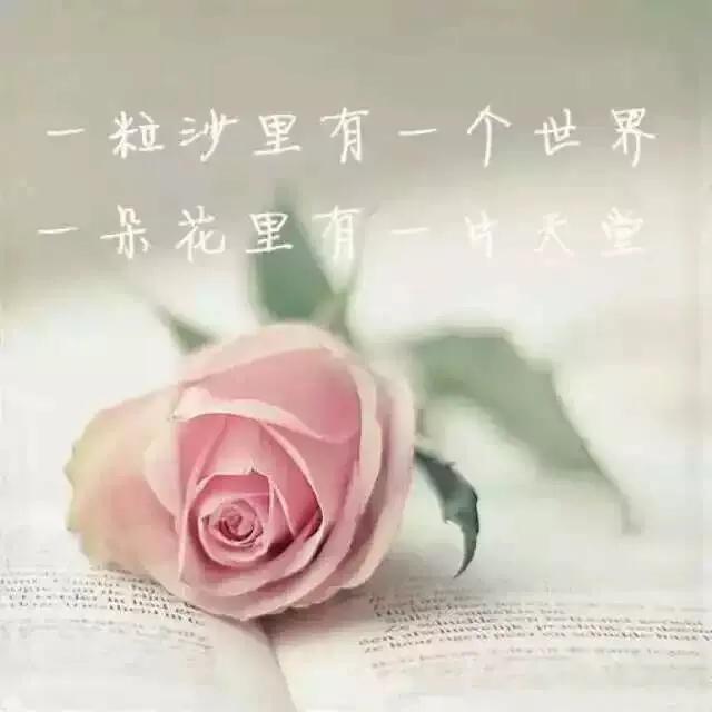 天道论道深度讲解,天道论道诗词