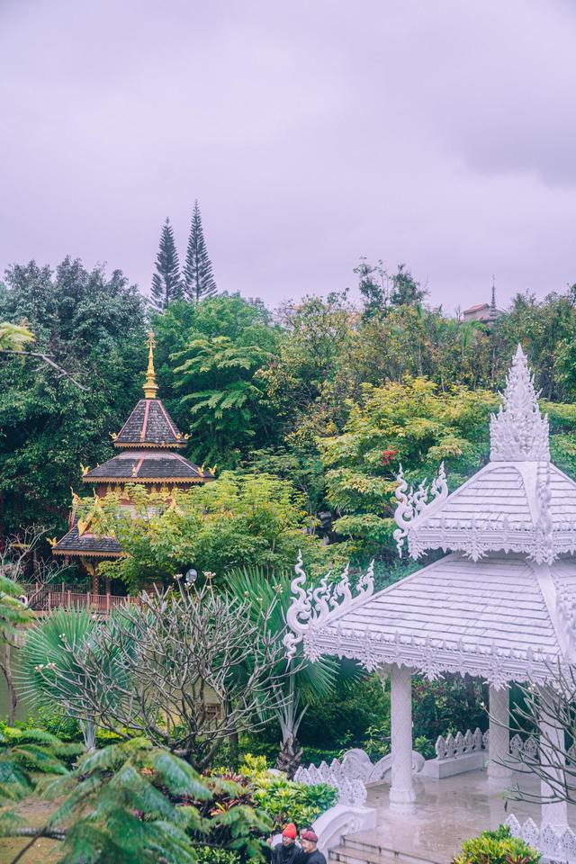 西双版纳曼听公园御花园,曼听公园西双版纳网红景点