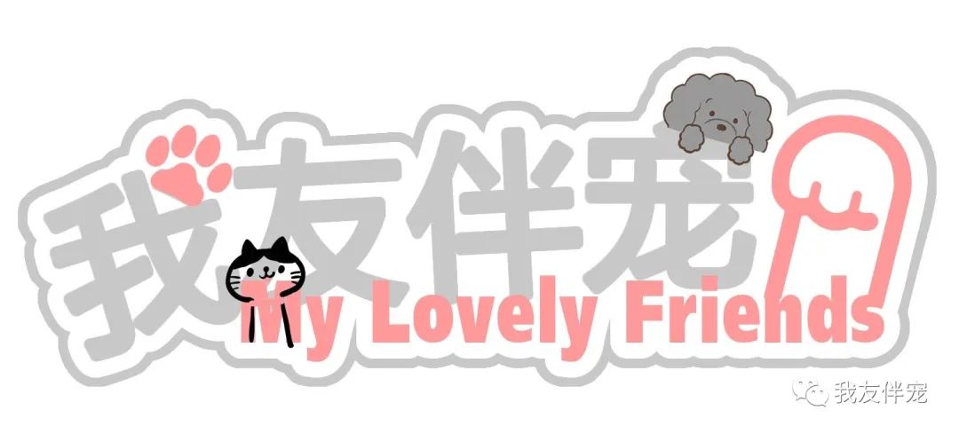 一个有味道的小知识,有味道的冷知识