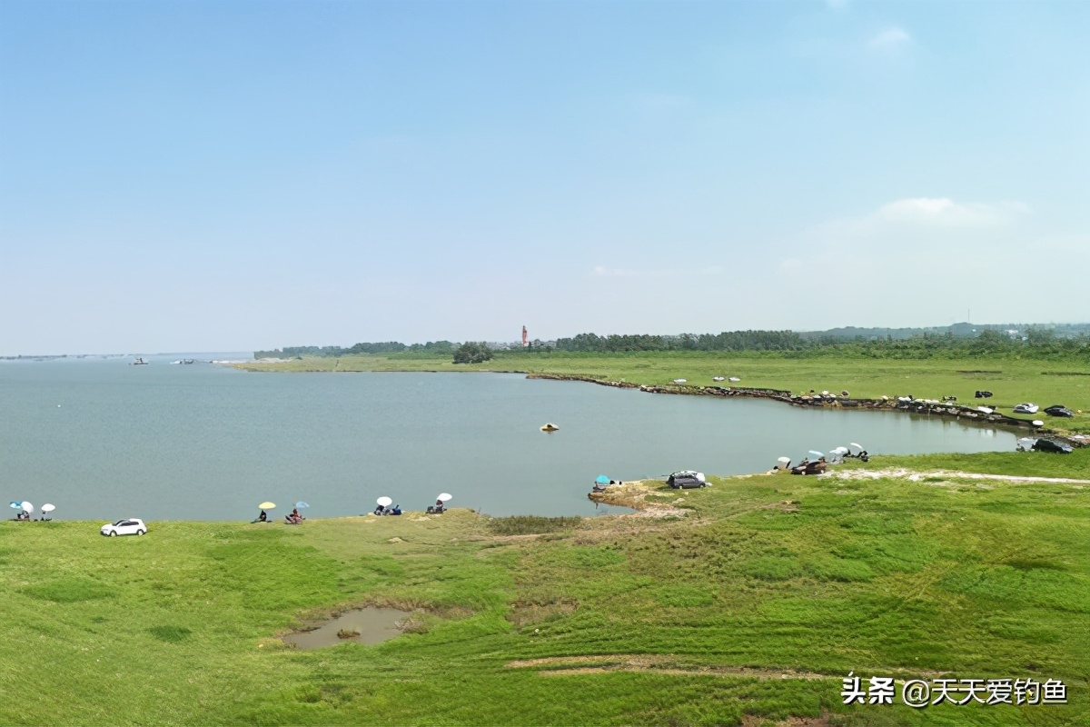 野钓老是顶漂不中鱼怎么办,野钓怎么避开过山鲫钓位