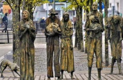 爱尔兰饥荒的深层原因,对爱尔兰饥荒的评价