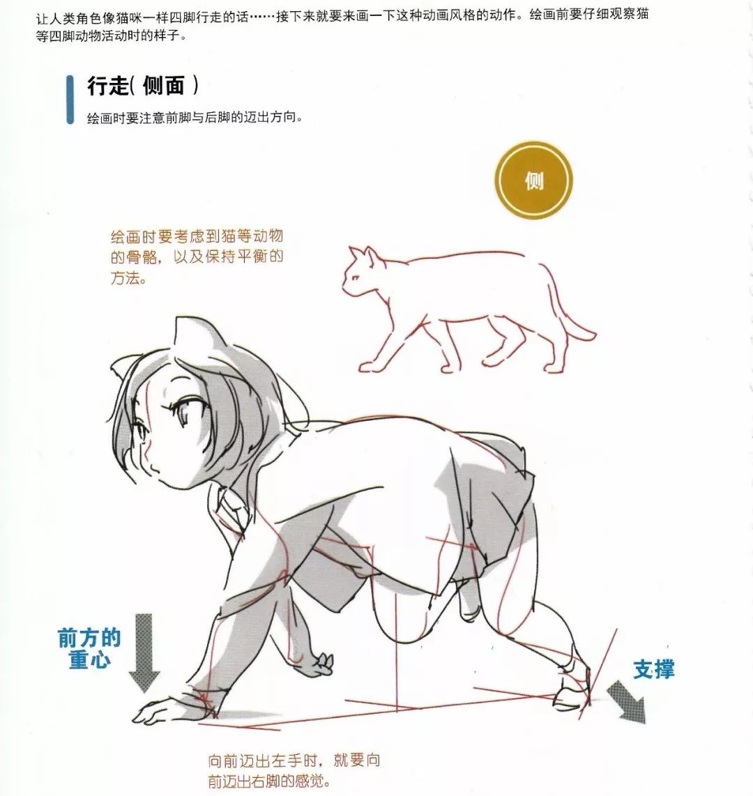 绘画干货5分钟了解彩铅人像秘籍,绘画技巧书籍推荐