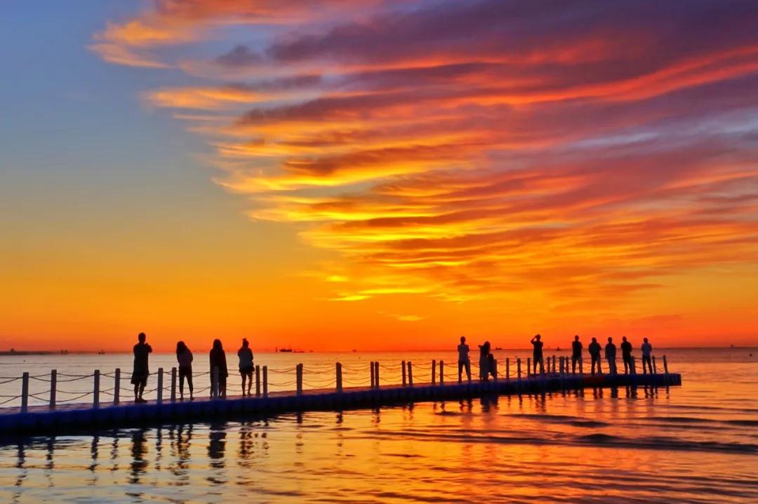 海边的口罩,海里的口罩