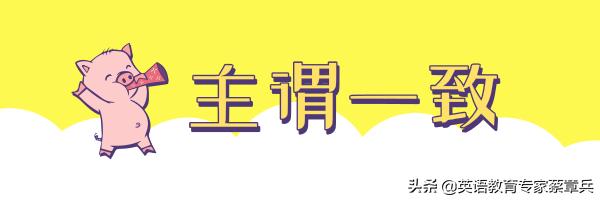 高考英语大纲词汇解析,高考英语语法考点必背手册