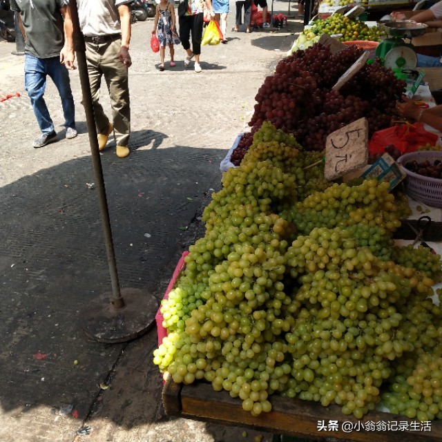 一到菜市场就不知道买什么菜好,逛菜市场有哪些菜值得买