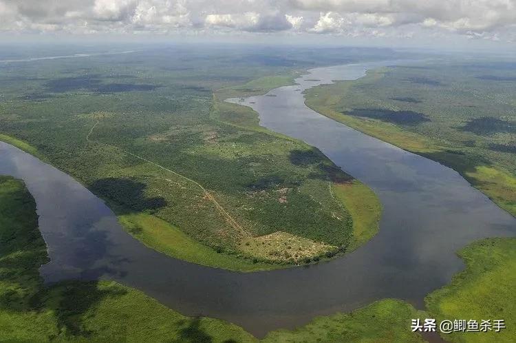 亚马逊河有多可怕完整版,亚马逊河到底有什么可怕的鱼