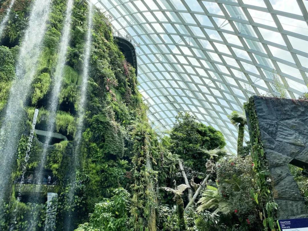 疫情期间去埃及旅游的亲历,疫情期间从深圳直飞洛杉矶体验