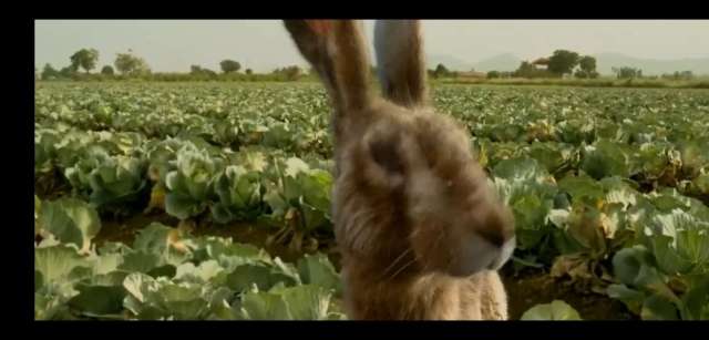 调音师的三层解析,调音师短片深度解析