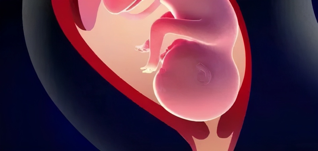 预产期到了可以喝红牛吗,孕晚期见红了可以喝红牛吗