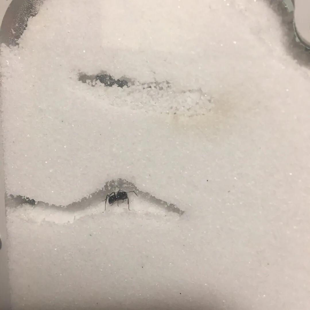 我的足球小将完整版视频,我的足球少年