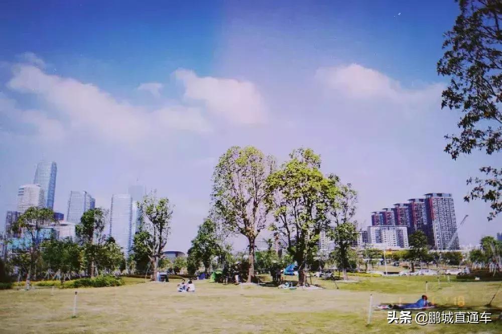 深圳60个最适合一日免费景点,暑假深圳旅游必去十大景点