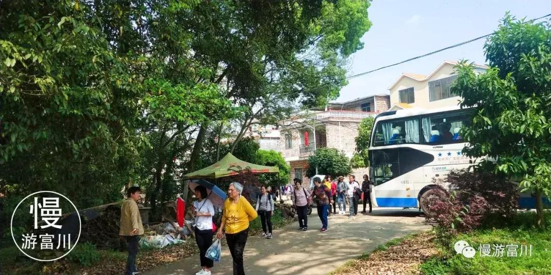 韩国富川旅行团,赞非
