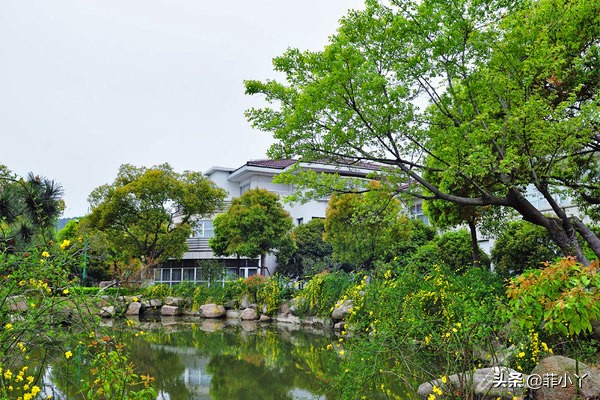 苏州东山，水孕天赐