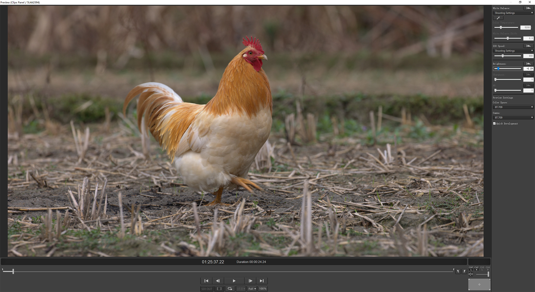 r5佳能24-70f2.8套机,佳能r5无反之战评测