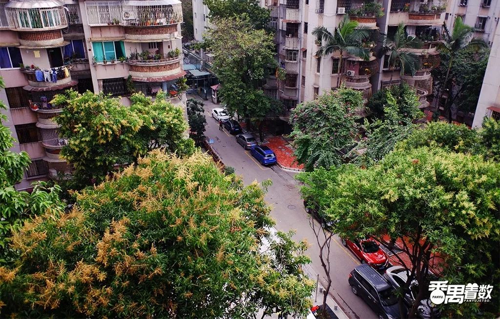 在番禺住哪里比较好,在番禺居住怎么样