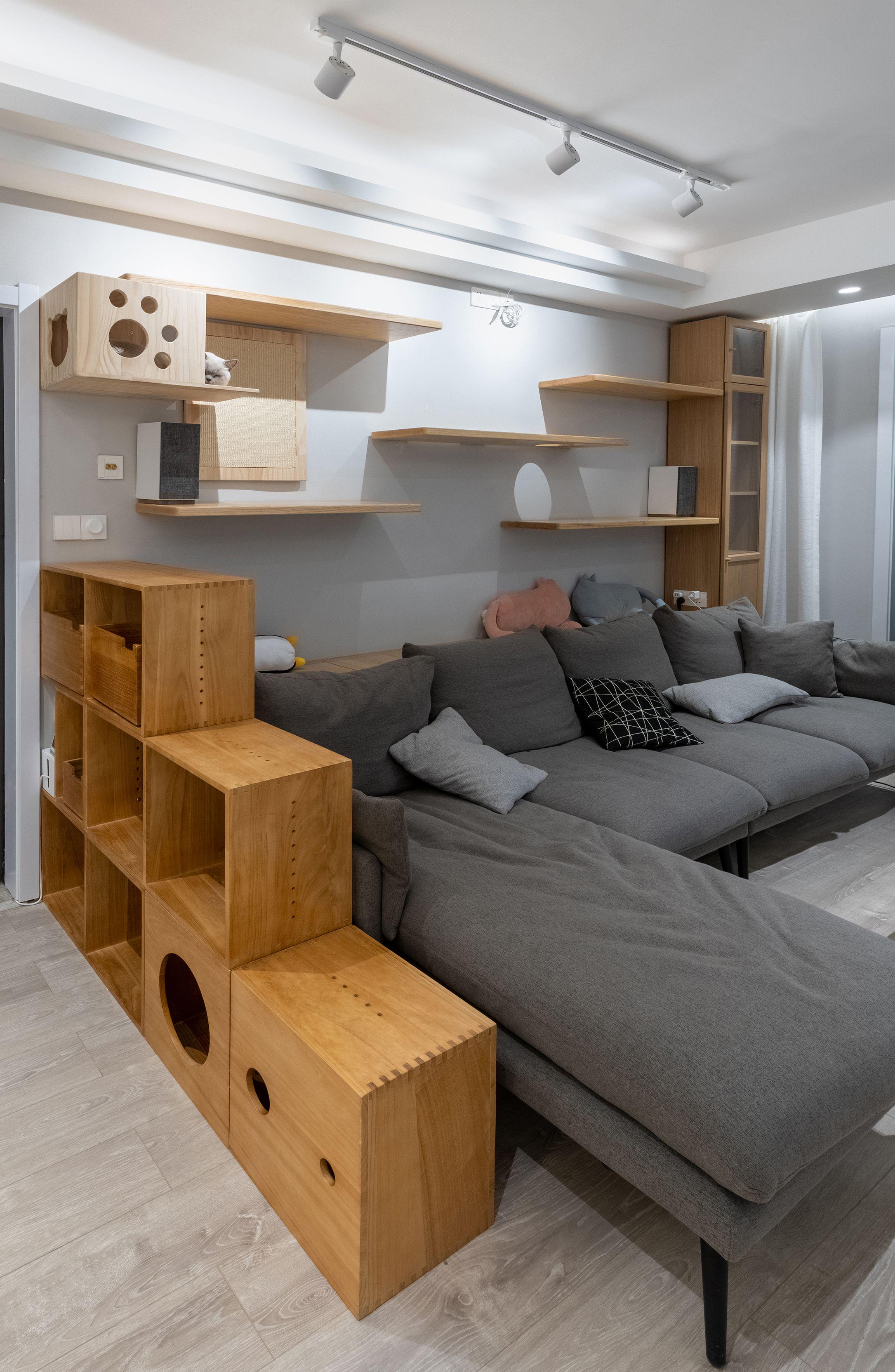 打造人宠共乐的家—“铲S官”的装修笔记