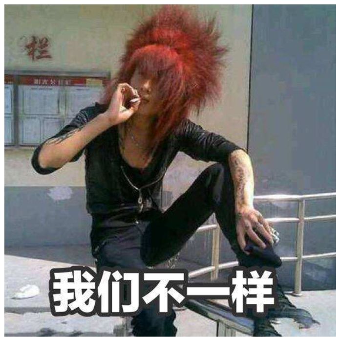 一桥飞越南北天堑变通途,飞跃数字鸿沟