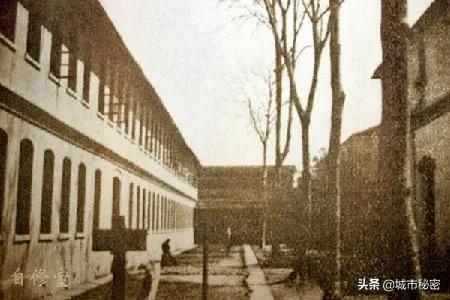 杭州文教区如果不写杭师大，那和一条失去梦想的咸鱼有啥区别