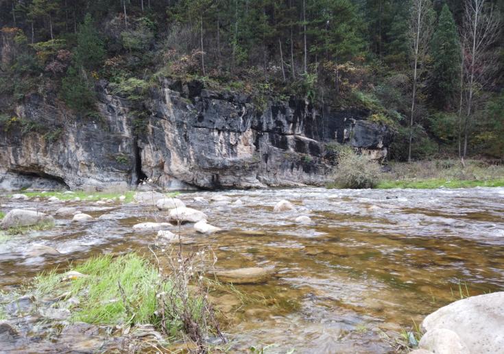 缇庝附涔℃剚涔℃潙缁垮寲鍥剧墖,缇庝附涔℃潙涔℃剚鏅