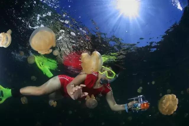 帕劳旅游攻略自由行路线推荐,帕劳旅游攻略全过程