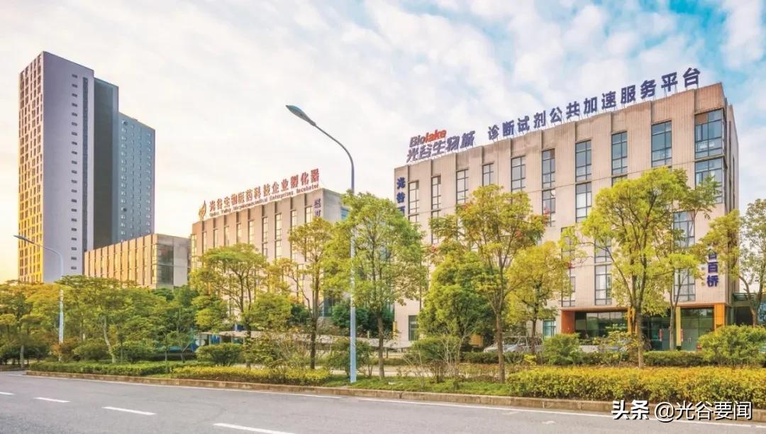 光谷同济疫情防控,光谷抗疫情