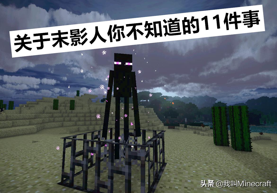 我的世界末影人击杀小黑,我的世界末影人小黑图片