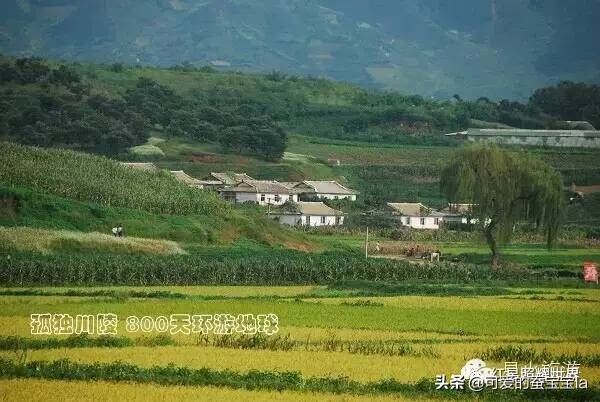 朝鲜七八十年代农村照片,80年代朝鲜老照片农村
