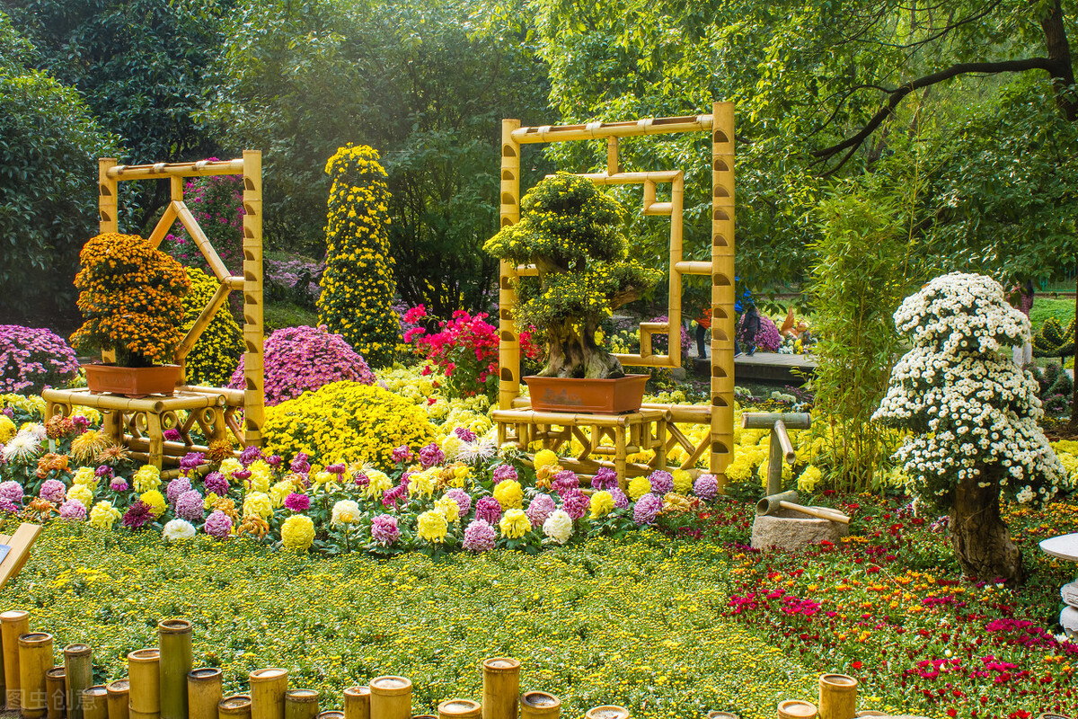 重阳节赏菊花的介绍,赏菊打卡好去处