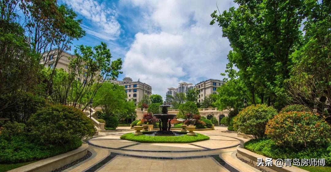 蓝光青岛地王,青岛地王的真实生活