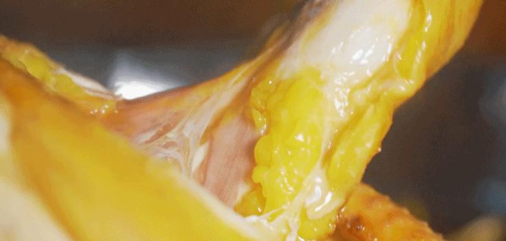 超有鸡味的阳山鸡,广东阳山鸡口感如何