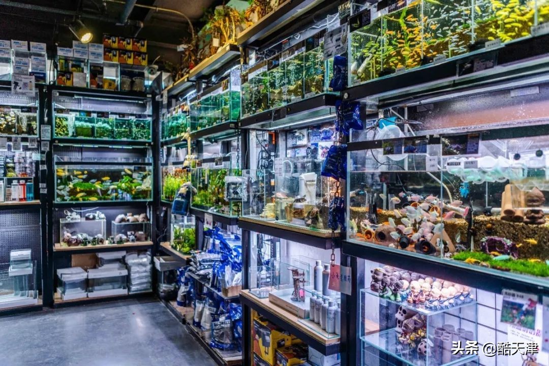 8号车库团购优惠,10号车库优惠团购