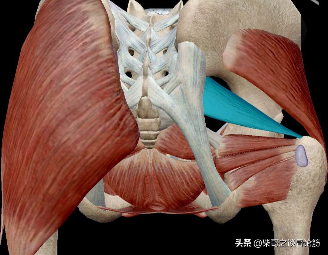 椎间盘导致臀部疼的特点,椎间盘突出屁股痛尾巴根痛怎么治