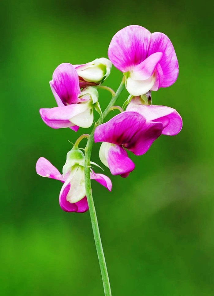 金句励志正能量人生语录大全,激励人心的句子正能量经典语录