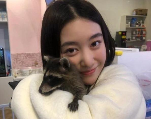 筷子兄弟的两个人现状,筷子兄弟单飞近况