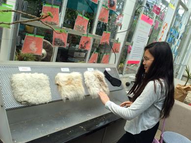 长隆旅游细节分析,长隆有必要四个乐园都玩吗