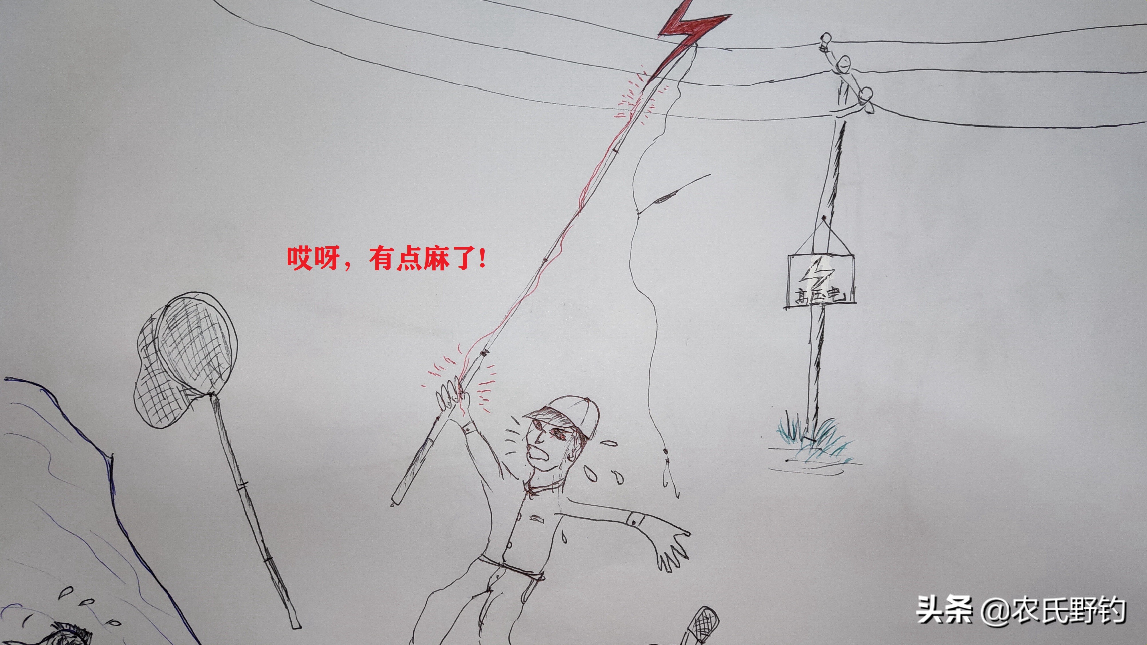 户外野钓钓鱼知识,户外野钓钓鱼常识