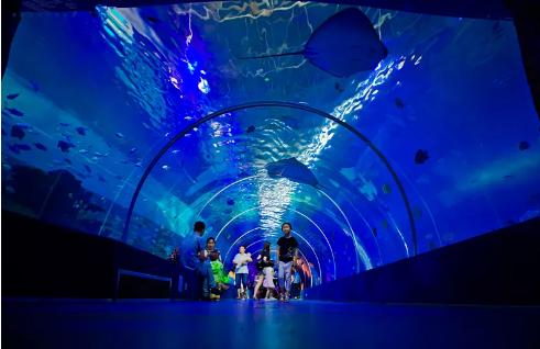 去不了海就去海洋馆,去不了大海就去海底世界